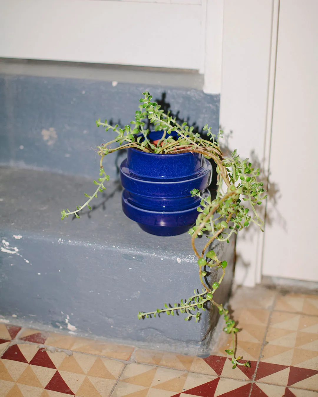 Glazed Boia Clay Pot - Blue