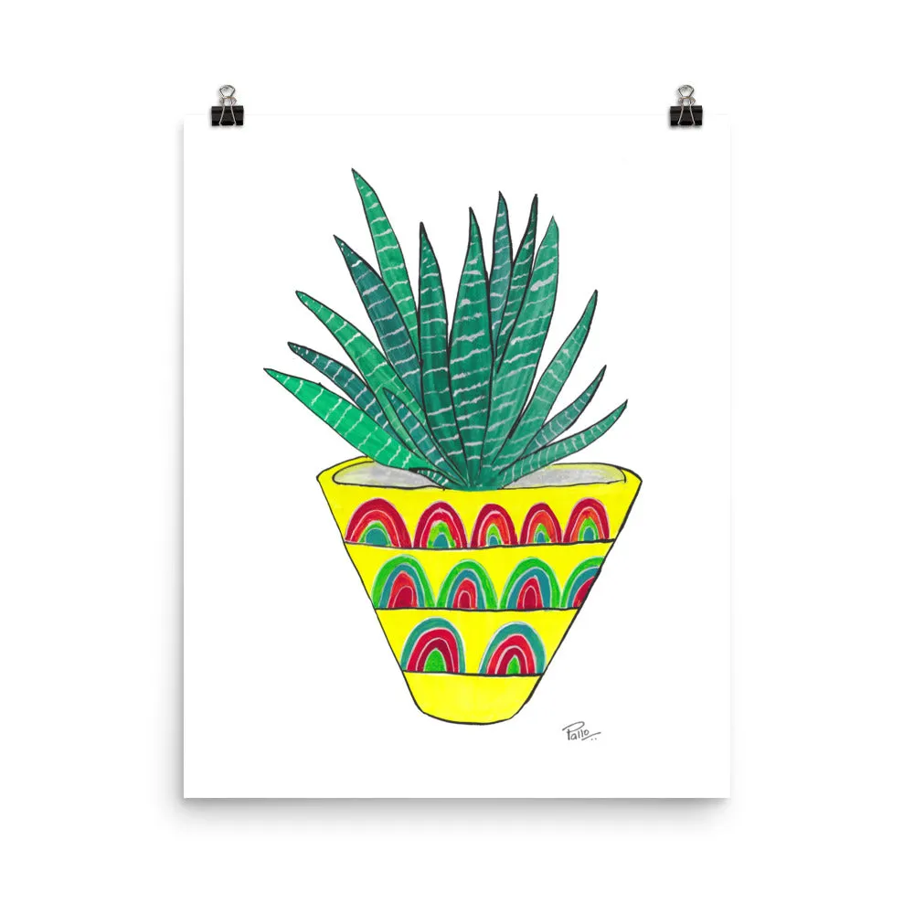 Zebra Plant - Art Print