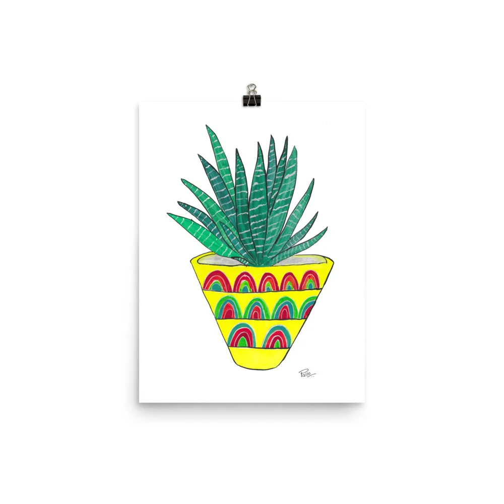 Zebra Plant - Art Print