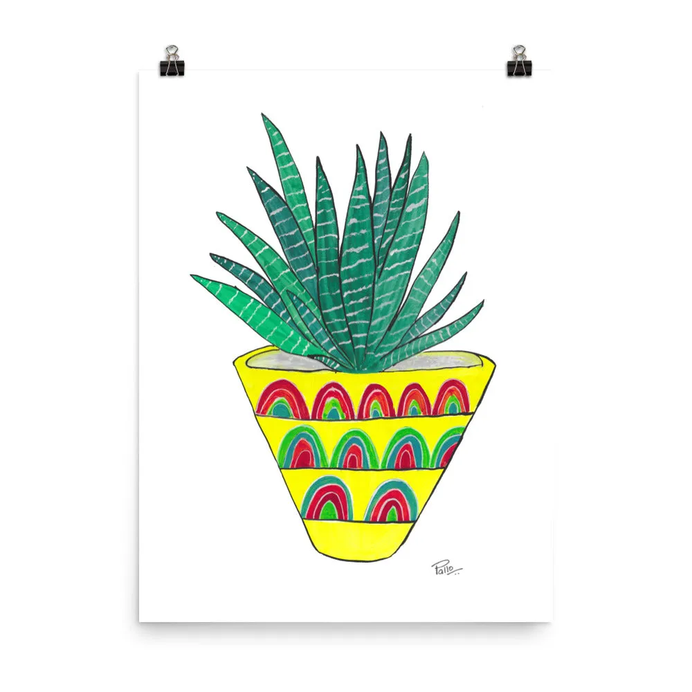 Zebra Plant - Art Print